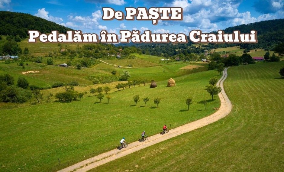Pedalăm în Pădurea Craiului